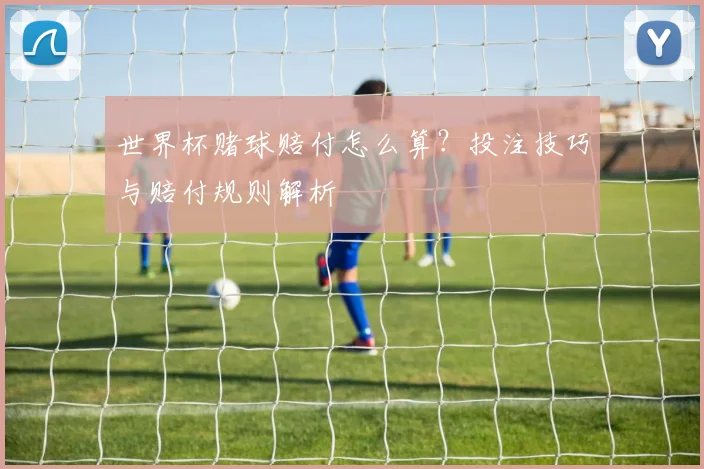 世界杯赌球赔付怎么算？投注技巧与赔付规则解析