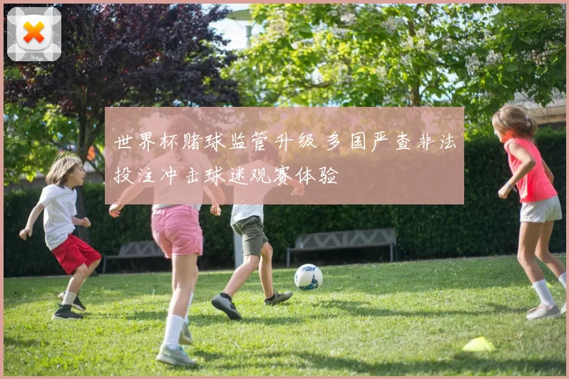 世界杯赌球监管升级 多国严查非法投注冲击球迷观赛体验