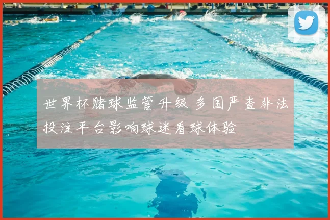 世界杯赌球监管升级 多国严查非法投注平台影响球迷看球体验